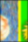 top.jpg