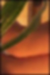 top.jpg