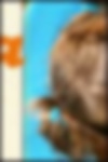 top.jpg