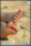 101.jpg