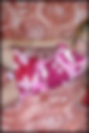stephanie_promos104.jpg