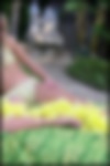 stephanie_promos09.jpg